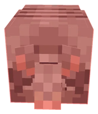 Minecraft Armadillo PNG, front