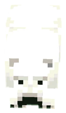 Minecraft Polar Bear PNG, front