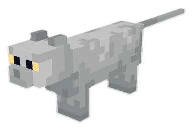 British Shorthair Cat PNG