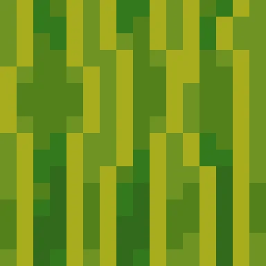 Minecraft Melon PNG, flat texture