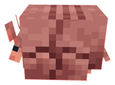 Minecraft Armadillo PNG, side