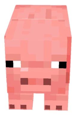Minecraft Pig PNG, front