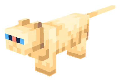 Persian Cat PNG