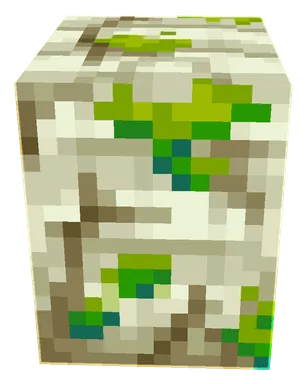 Minecraft Zombie Nautilus PNG, front