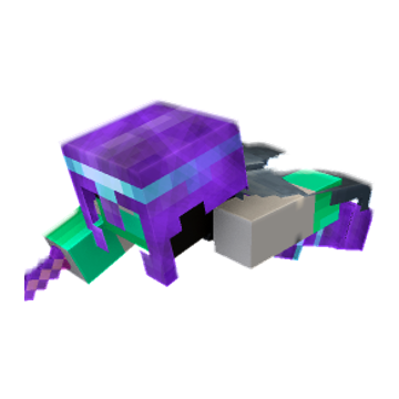 Player with elytra