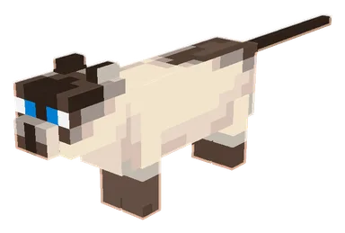 Siamese Cat PNG