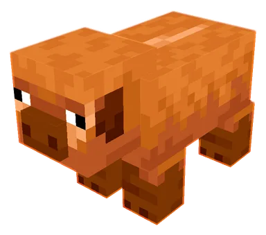 Warm Pig PNG