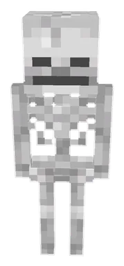 Minecraft Skeleton PNG, front
